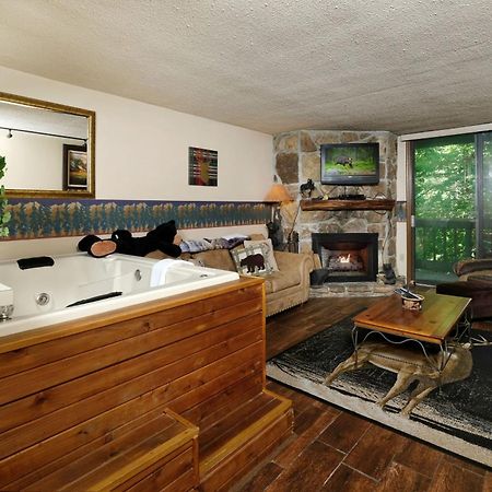 Villa Bear Creek 167 à Gatlinburg Extérieur photo
