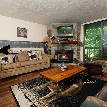 Villa Bear Creek 167 à Gatlinburg Extérieur photo